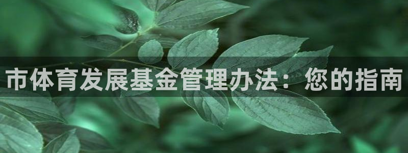 必一体育在线官网：市