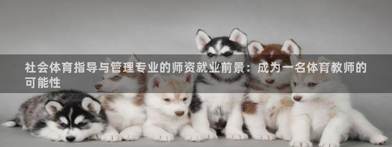 必一体育游戏特色：社