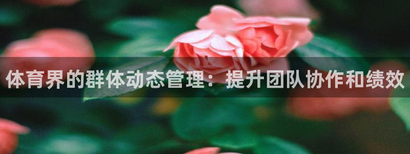 必一体育在线入口：体