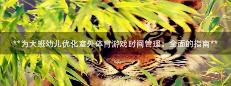 必一体育官网网站：*
