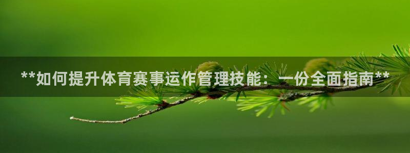 必一体育在线玩：**如何提升体育赛事运作管理技能：一份全面指