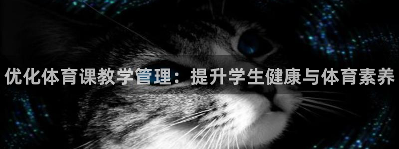 必一体育sport装