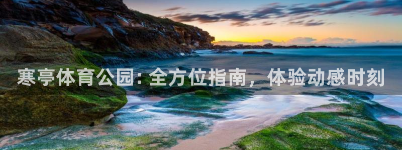 b体育必一运动网页版