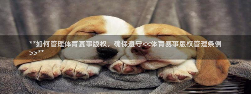 必一体育没了：**如