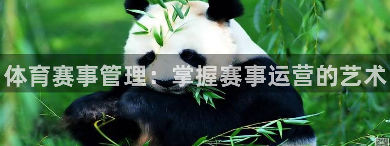 必一体育能提现大金额吗：体育赛事管理：掌握赛事运营的艺术