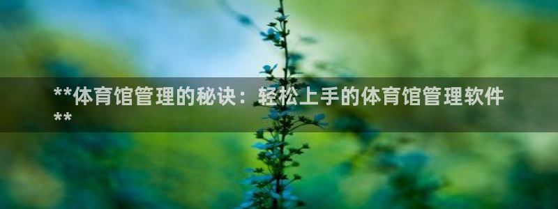 必一体育网页：**体