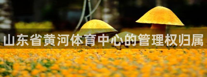 必一体育官方下载：山