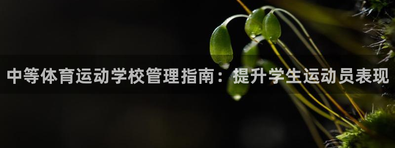 必一体育下载义：中等