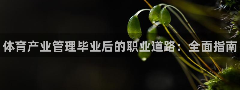 必一运动aop：体育