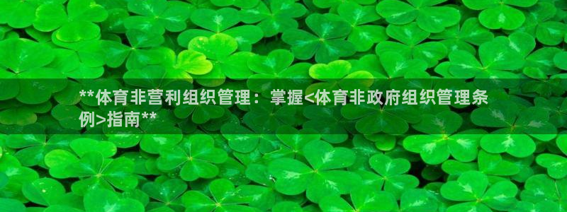 b体育必一下载：**体育非营利组织管理：掌握<体育非政府组织