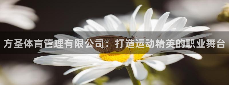 必一体育服下载最新版本更新内容：方圣体育管理有限公司：打造运