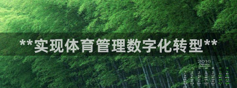 必一体育网页登陆：*