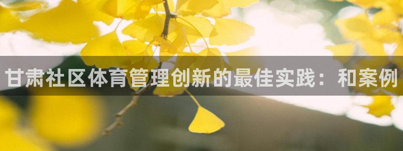 必一体育皮尔斯：甘肃社区体育管理创新的最佳实践：和案例