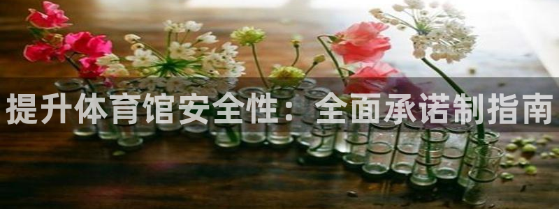 必一体育下载登入：提