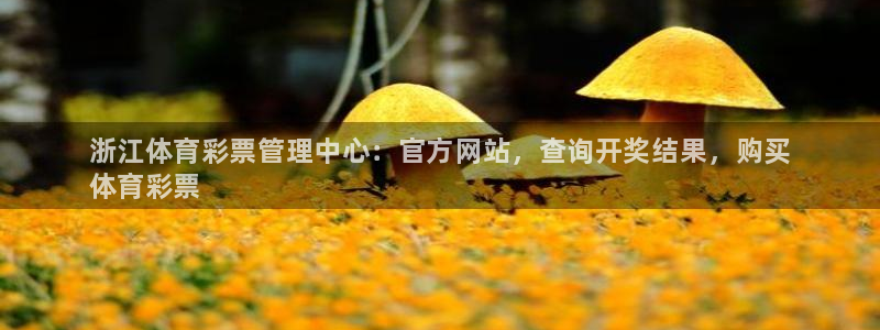 必一运动：浙江体育彩票管理中心：官方网站，查询开奖结果，购买