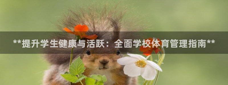 必一体育sport官