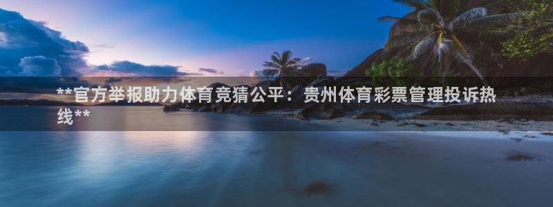 必一体育官网网址：*