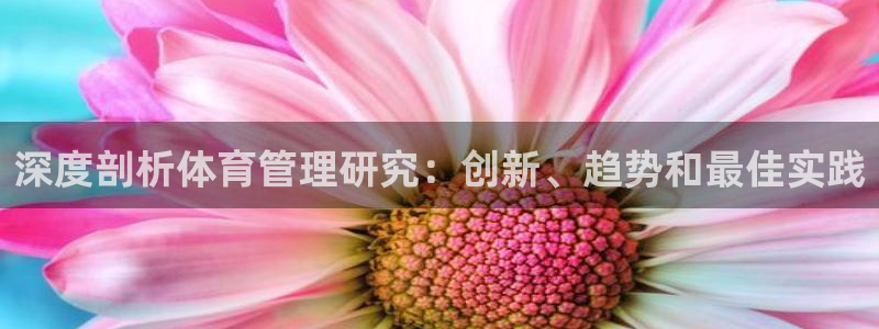 必一运动体：深度剖析