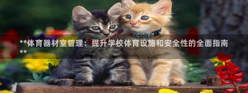 必一体育黑钱：**体