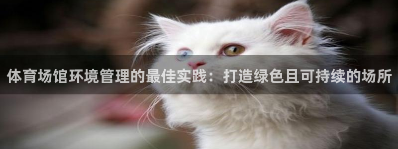 b体育官网下载入口a