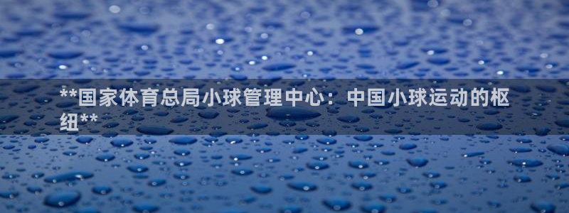 必一体育是啥：**国家体育总局小球管理中心：中国小球运动的枢