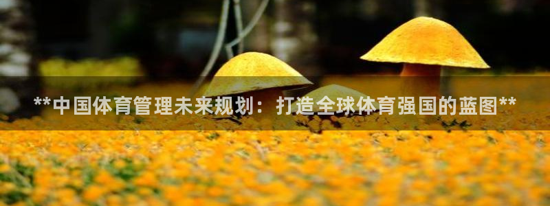 必一运动·(B-Sports)：**中国体育管理未来规划：打