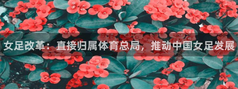 必一运动官网装机吧：女足改革：直接归属体育总局，推动中国女足